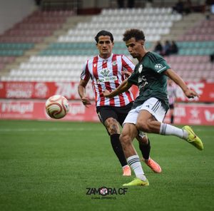 El Zamora CF perdona a la Ponferradina en el Ruta de la Plata (1-1)